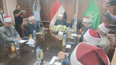 وزير الأوقاف: توزيع اللحوم الخاصة بصكوك الإطعام طوال العام وزير الأوقاف: توزيع اللحوم الخاصة بصكوك الإطعام طوال العام