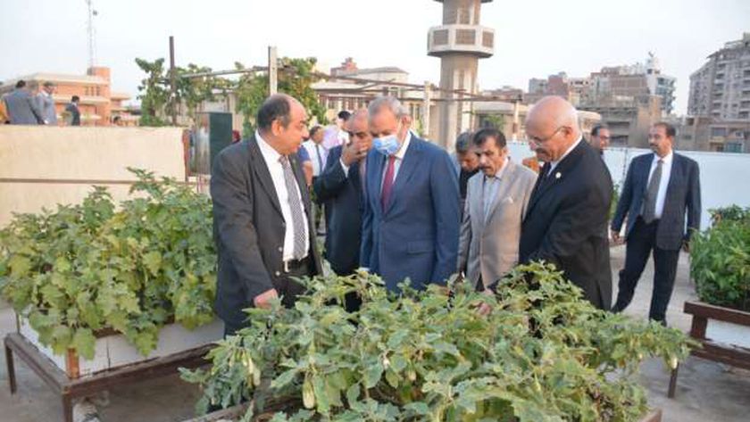 تزامنًا مع انعقاد قمة المناخ .. الشبان العالمية ببنها تطلق أول مبادرة لزراعة الأسطح