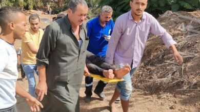 صور .. إصابة شخص في حادث انقلاب سيارة ملاكي أسفل الطريق الحر بالقليوبية