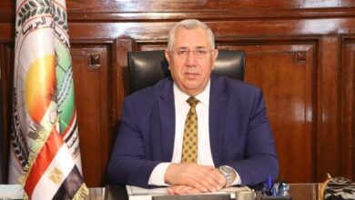 الزراعة: صادرات مصر الزراعية تتجاوز 4.7 مليون طن هذا العام