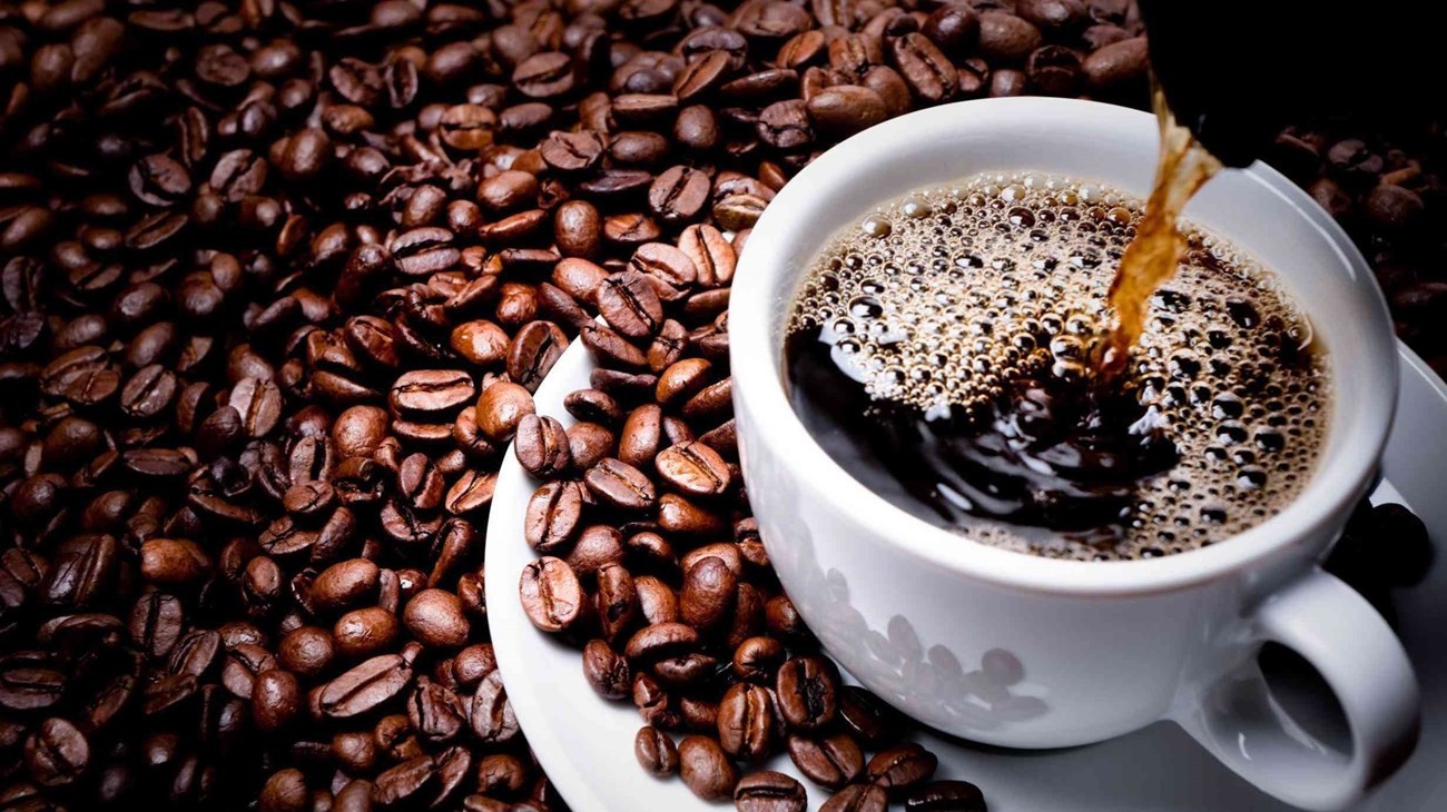 احذر ..القهوة والشاي قد يجعلك اكثر اثارة للباعوض احذر ..القهوة والشاي قد يجعلك اكثر اثارة للباعوض
