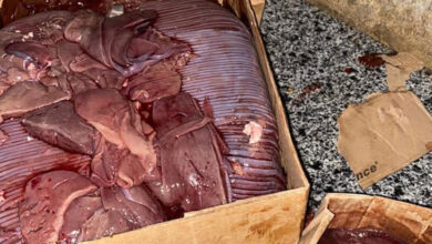 ضبط 8 طن لحوم مجمدة وكبدة مجهولة المصدر بالقليوبية