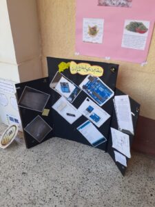 "علماء المستقبل" طلاب شبان بنها يبدعون في مشاريع بحثية لمواجهة الاحتباس الحراري