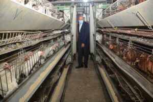 محافظ القليوبية يتفقد مشروع الـ 30 مليون بيضة ويستقبل لجنة لمعاينة المشروع