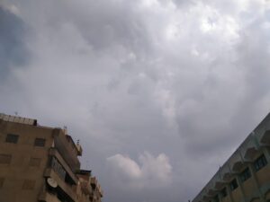 صور - شاهد كسوف الشمس بشوارع القليوبية