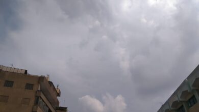 صور - شاهد كسوف الشمس بشوارع القليوبية صور - شاهد كسوف الشمس بشوارع القليوبية