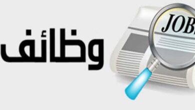 القوى العاملة بالقليوبية تعلن عن توفير 284 فرصة عمل القوى العاملة بالقليوبية تعلن عن توفير 284 فرصة عمل