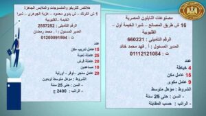 توفير 164 وظيفة جديدة بالقوى العاملة بالقليوبية