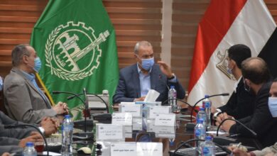 ضمن مشروع إنشاء بوابات حضارية .. محافظ القليوبية: إنشاء بوابة مدينة شبين القناطر