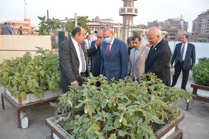 حملات لنشر ثقافة زراعة الأسطح والتشجير لمواجهة تغير المناخ بالشبان العالمية ببنها