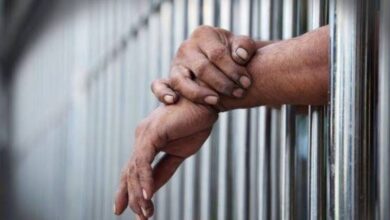 المشدد 5 سنوات لعاطل لاتهامه بتزوير محررات رسمية بالقليوبية المشدد 5 سنوات لعاطل لاتهامه بتزوير محررات رسمية بالقليوبية