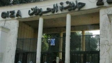 حقيقة غلق حديقة الحيوان الأسبوع المقبل لمدة عام حقيقة غلق حديقة الحيوان الأسبوع المقبل لمدة عام