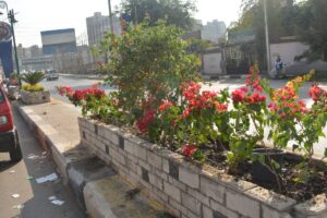 محافظ القليوبية يتفقد المنطقة المحيطة بقصر محمد علي بشبرا الخيمة