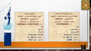 الراتب يصل إلى 11 ألف جنيه .. القوى العاملة تعلن عن فرص عمل جديدة بالقليوبية