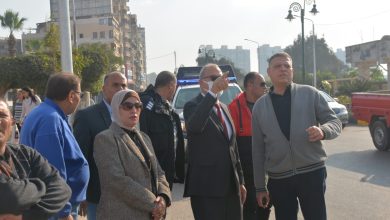 محافظ القليوبية يتفقد المنطقة المحيطة بقصر محمد علي لمتابعة أعمال التجميل والدهانات والرصف محافظ القليوبية يتفقد المنطقة المحيطة بقصر محمد علي لمتابعة أعمال التجميل والدهانات والرصف
