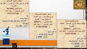 الراتب يصل إلى 11 ألف جنيه .. القوى العاملة تعلن عن فرص عمل جديدة بالقليوبية