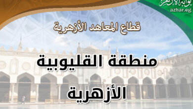 المواعيد والشروط والأماكن .. فتح باب التقدم لوظيفة شيخ معهد بالأزهر المركزية بالقليوبية