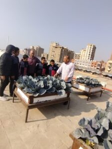 زيارة ميدانية إلى مشروع زراعة الأسطح بمجمع مدارس الشبان