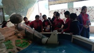 شبان بنها تنظم زيادة لمتحف الطفل