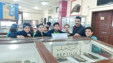 شبان بنها تنظم زيارة إلى المتحف الجيولوجى المصري