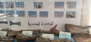 شبان بنها تنظم زيارة إلى المتحف الجيولوجى المصري