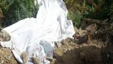 والديها وراء الواقعة .. كشف غموض العثور على جثة طفلة برشاح بالقليوبية والديها وراء الواقعة .. كشف غموض العثور على جثة طفلة برشاح بالقليوبية