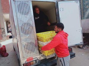 لـ«ستر الأسر»: مبادرة جديدة لتوزيع 22 ألف كتكوت مجاناً فـي الخانكة (صور)