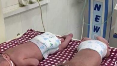 العلاج الحر بالقليوبية يضبط أطفال حديثي الولادة في حجرة المخلفات بشبين القناطر