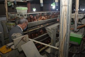 محافظ القليوبية يتفقد مشروع الـ 30 مليون بيضة بالخانكة للاطمئنان على سير العمل بالمشروع