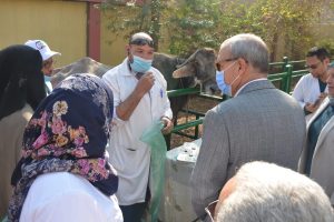 محافظ القليوبية يتفقد القافلة الطبية لتحصين الماشية بقرية شبلنجة ببنها - صور