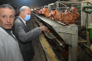 محافظ القليوبية يتفقد مشروع الـ 30 مليون بيضة بالخانكة للاطمئنان على سير العمل بالمشروع