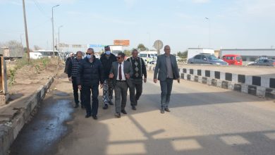 محافظ القليوبية: رفع 300 طن تراكمات وردش مباني على جانبي الطريق بمدينة بنها