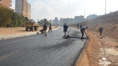 محافظ القليوبية يتفقد أعمال الرصف النهائية لنزلة الزراعي - صور محافظ القليوبية يتفقد أعمال الرصف النهائية لنزلة الزراعي - صور