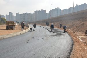 محافظ القليوبية يتفقد أعمال الرصف النهائية لنزلة الزراعي - صور
