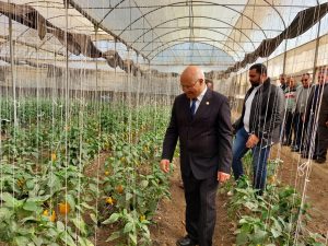 رئيس جامعة بنها يتفقد مزارع القمح والوحدات الإنتاجية بكلية الزراعة