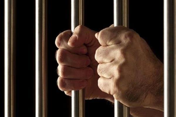 المشدد 3 سنوات لمتهمين لشروعهم في قتل سيدة في شبين القناطر المشدد 3 سنوات لمتهمين لشروعهم في قتل سيدة في شبين القناطر