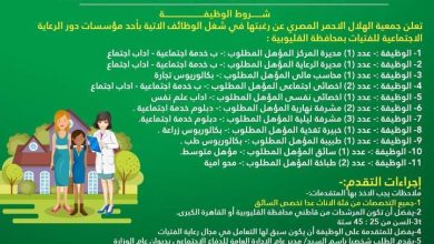 وظائف جديدة للإناث في دار رعاية اجتماعية بالقليوبية.. المؤهلات والشروط