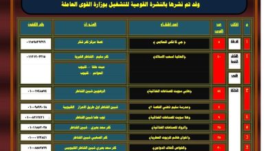 توفير 235 فرصة عمل بالقطاع الخاص بالقليوبية
