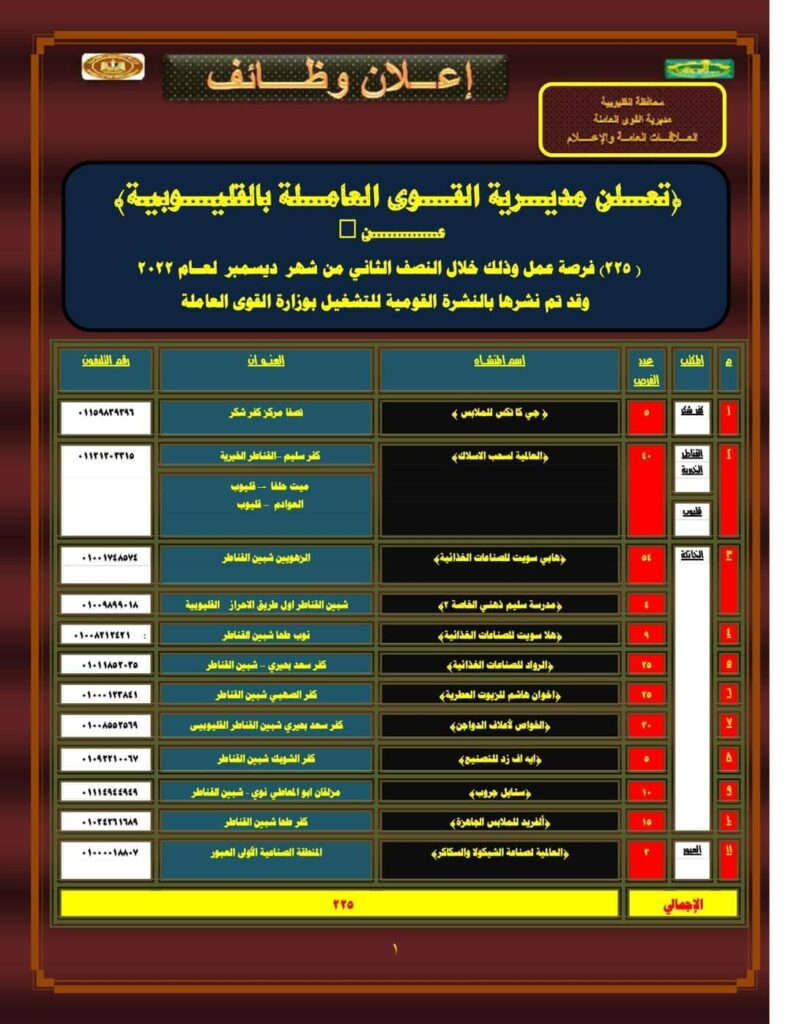 توفير 235 فرصة عمل بالقطاع الخاص بالقليوبية توفير 235 فرصة عمل بالقطاع الخاص بالقليوبية