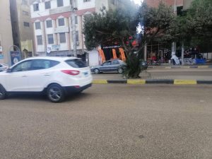 صور - طقس سيئ وأمطار بالقليوبية