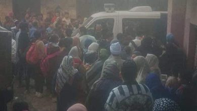 حقيقة قيام جزار ببيع لحوم حمير بالقليوبية .. والطب البيطري يوضح