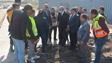 محافظ القليوبية ورئيس جهاز تعمير القاهرة الكُبرى يتفقدان أعمال تطوير المرحلة الثانية لمدينة بنها