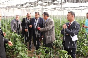 لتعزيز أوجه التعاون .. رئيس جامعة بنها يستقبل وفد هيئة تنمية الصعيد بمجلس الوزراء