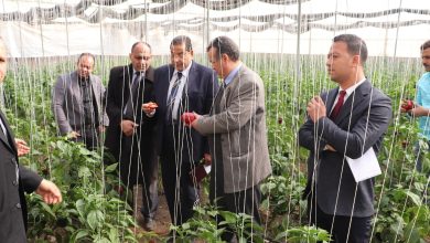لتعزيز أوجه التعاون .. رئيس جامعة بنها يستقبل وفد هيئة تنمية الصعيد بمجلس الوزراء