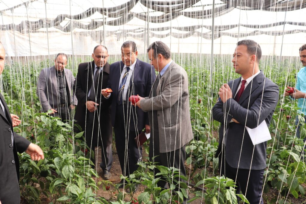 لتعزيز أوجه التعاون .. رئيس جامعة بنها يستقبل وفد هيئة تنمية الصعيد بمجلس الوزراء