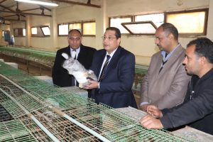 لتعزيز أوجه التعاون .. رئيس جامعة بنها يستقبل وفد هيئة تنمية الصعيد بمجلس الوزراء