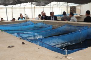 لتعزيز أوجه التعاون .. رئيس جامعة بنها يستقبل وفد هيئة تنمية الصعيد بمجلس الوزراء