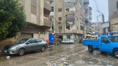 صور - أمطار وغيوم وطقس بارد بالقليوبية صور - أمطار وغيوم وطقس بارد بالقليوبية