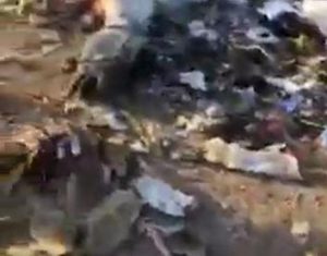 اتهام شخص بتوريد لحوم حمير نافقة لتجار بالقليوبية