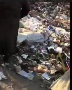 اتهام شخص بتوريد لحوم حمير نافقة لتجار بالقليوبية